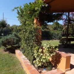 Blick in den Garten der Ferienvilla Ginestre an der Costa Rei, Sardinien