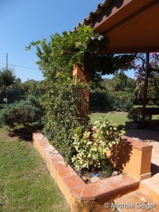 Blick in den Garten der Ferienvilla Ginestre an der Costa Rei, Sardinien