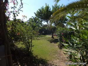 Garten mit südländischen Pflanzen und Bäumen der Ferienvilla Ginestre an der Costa Rei, Sardinien