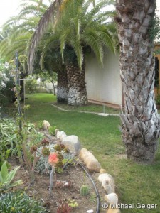 Garten mit Palmen an der Ferienvilla Viggiano an der Costa Rei, Sardinien